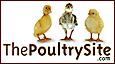 ThePoultrySite.com Logo